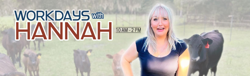 Hannah-country banner