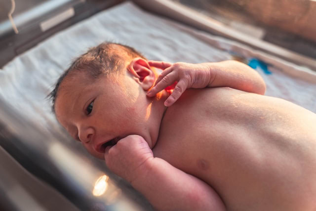 A newborn baby