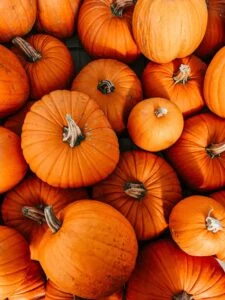 A lot of pumpkins