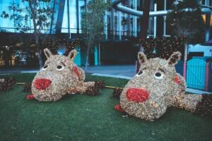 Christmas Decorations in a yard