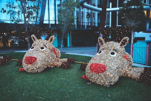 Christmas Decorations in a yard