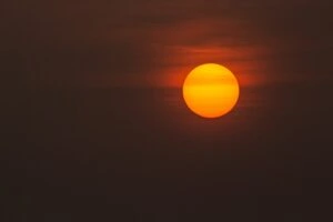 The sun